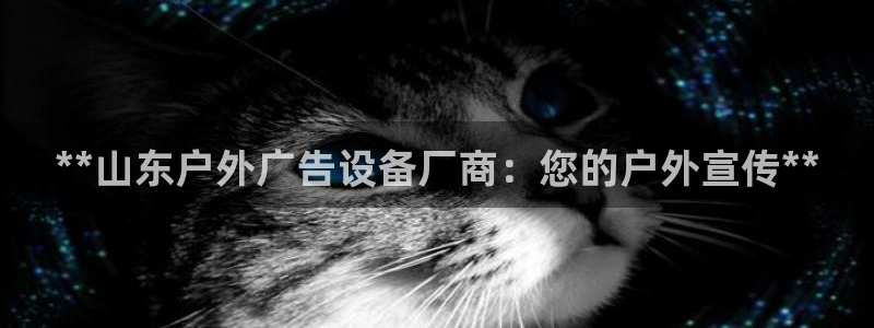 杏宇平台登录步骤图：**山东户外广告设备厂商：您的户外宣传**