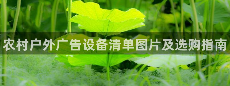杏宇平台登录步骤是什么：农村户外广告设备清单图片及选购指南
