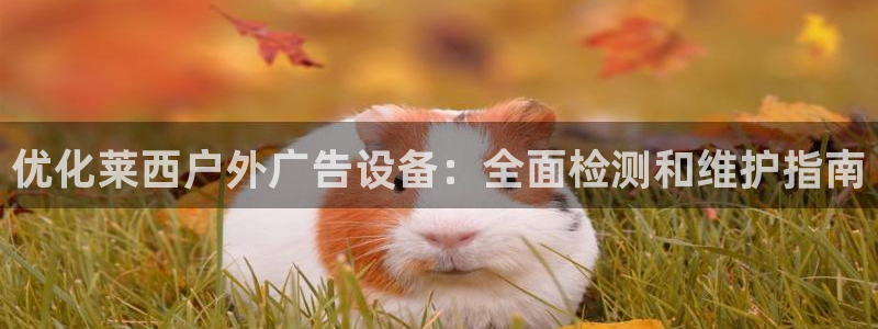 杏宇代理注册：优化莱西户外广告设备：全面检测和维护指南
