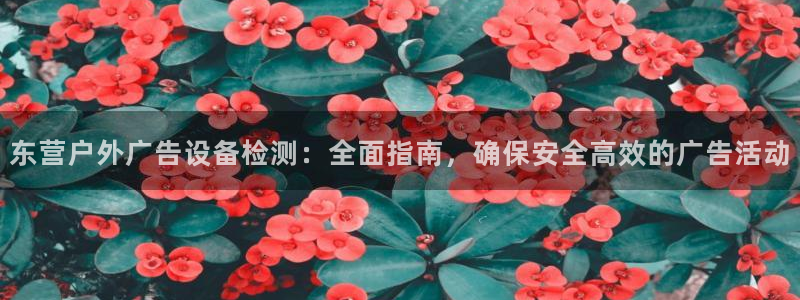 杏宇平台代理怎么样赚钱：东营户外广告设备