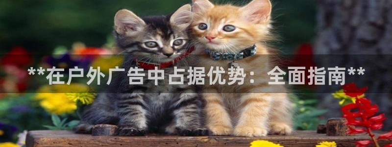 杏宇平台登录方法：**在户外广告中占据优