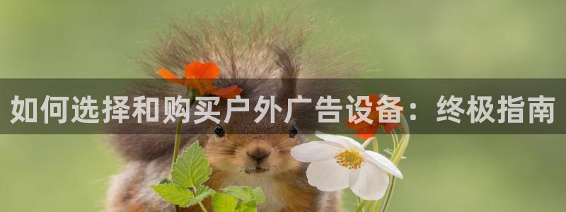 杏宇平台代理多少钱一个月：如何选择和购买户外广告设备：终极指南