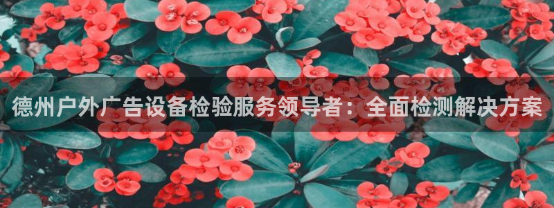 杏宇平台注册地址：德州户外广告设备检验服务领导者：全面检测解决方案