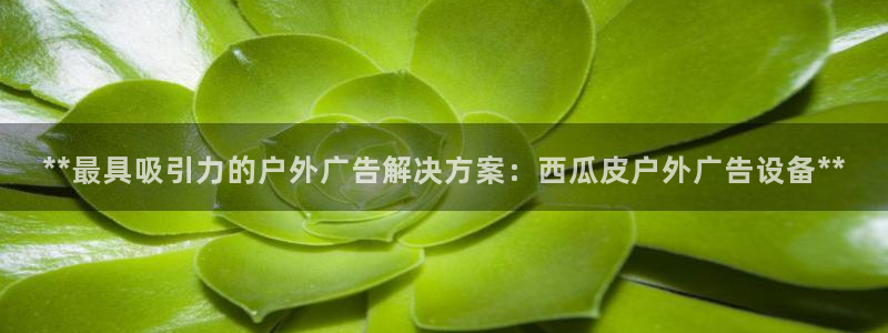 杏宇平台代理多少钱一次：**最具吸引力的户外广告解决方案：西瓜皮户外广告设备**