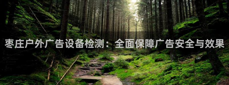 杏宇平台是什么：枣庄户外广告设备检测：全面保障广告安全与效果