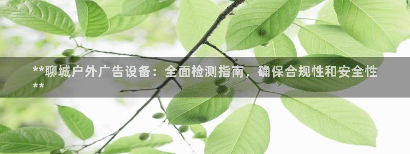 杏宇平台开户：**聊城户外广告设备：全面检测指南，确保合规性和安全性
**