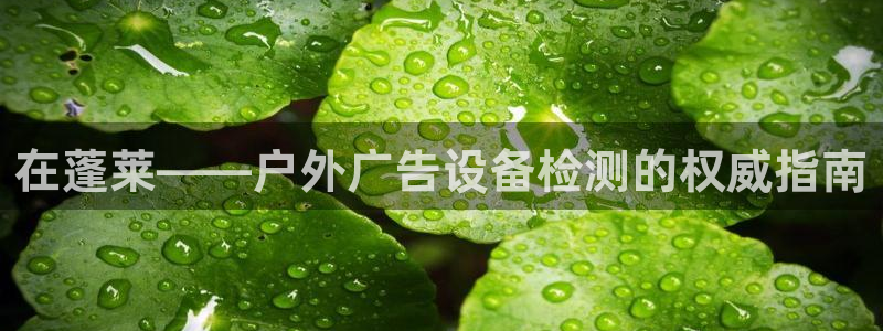 杏宇平台登录步骤图：在蓬莱——户外广告设备检测的权威指南