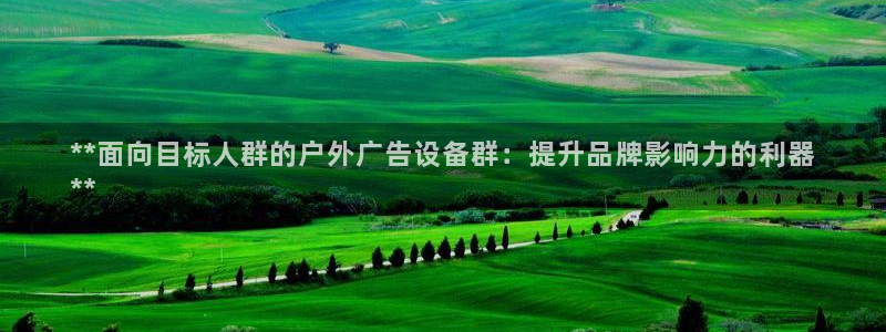杏宇平台招商：**面向目标人群的户外广告设备群：提升品牌影响力的利器
**