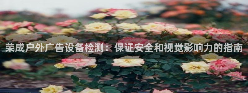 杏宇平台提现为什么这么久呢：荣成户外广告设备检测：保证安全和视觉影响力的指南