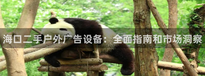 杏宇平台代理多少钱一个：海口二手户外广告设备：全面指南和市场洞察