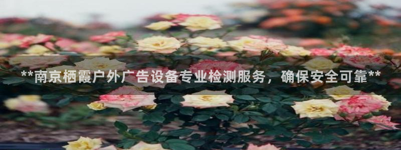 杏宇平台测速链接：**南京栖霞户外广告设备专业检测服务，确保安全可靠**