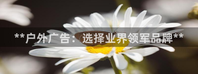 杏宇平台代理多少钱一个：**户外广告：选择业界领军品牌**