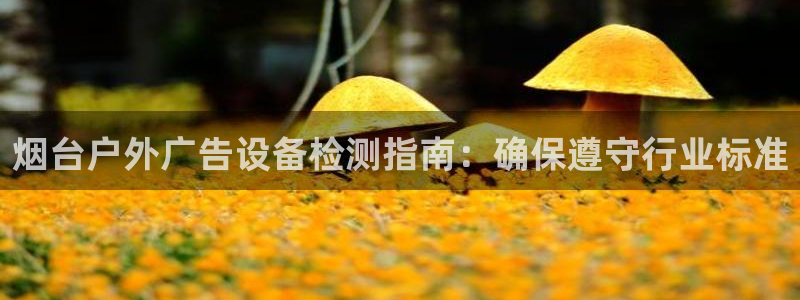 杏宇平台登录步骤是什么：烟台户外广告设备检测指南：确保遵守行业标准