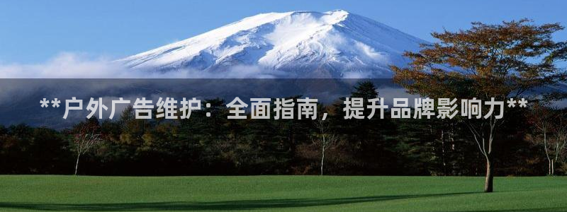 杏宇平台注册地址：**户外广告维护：全面指南，提升品牌影响力**