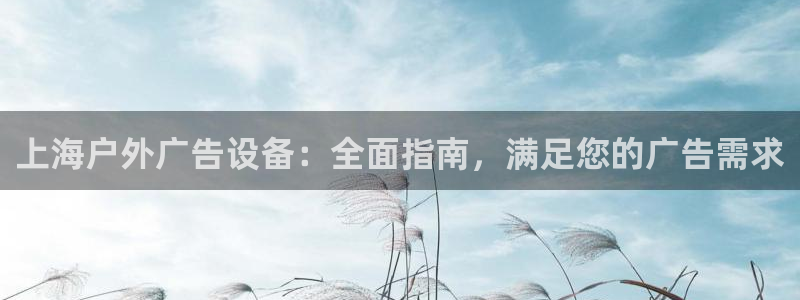 杏宇平台代理：上海户外广告设备：全面指南