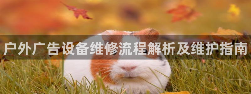 杏宇平台代理怎么样可靠吗：户外广告设备维